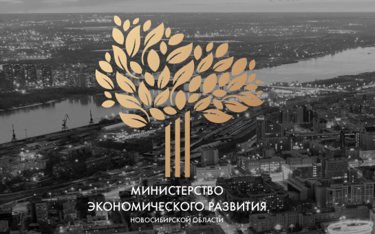 Минэкономразвития НСО формирует новый состав Общественного совета